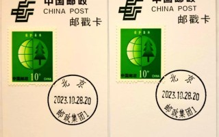 311300邮政编码有何特殊意义？