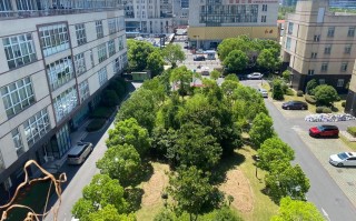 圆通上海浦东新区北蔡网点地址在哪？