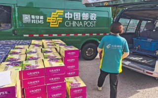 邮政销售业务如何助力邮政企业发展？