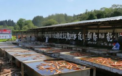 湖州养殖泥鳅公司，湖州养殖泥鳅公司电话
