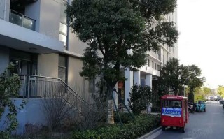 中通昆山长江花园怎么样？