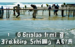 青虾养殖好做吗，青虾养殖好做吗视频