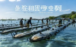我国海带养殖有哪些优势？高效水产养殖技巧是什么？