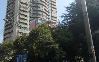 上海杨浦中原中通发生了什么？