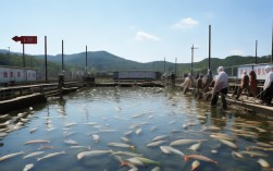 广东广州养殖基地，广州养殖基地在哪里