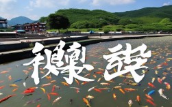 遵义渔业养殖基地，遵义渔业养殖基地在哪里