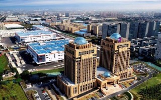 上海市外高桥圆通公司怎么样？