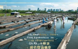 江宁水产养殖，南京水产养殖