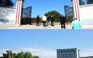 齐齐哈尔邮政龙沙区有何服务或动态？