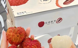 顺丰快递荔枝，如何保鲜又快速？