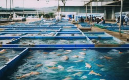 台湾 水产 养殖 企业，台湾 水产 养殖 企业排名