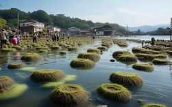 福建 蟹苗养殖，福建 蟹苗养殖基地在哪