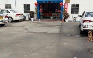 呼和浩特圆通驾校具体位置在哪？