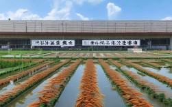 小龙虾养殖技术微信号，小龙虾养殖技术交流群