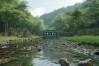 通江大鲵养殖基地，通江大鲵养殖基地在哪里