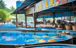 海南鱼养殖加盟，海南鱼养殖加盟电话