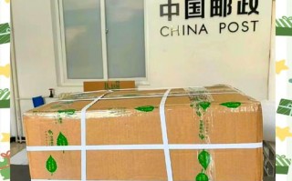 邮政快递包裹有何特殊之处？