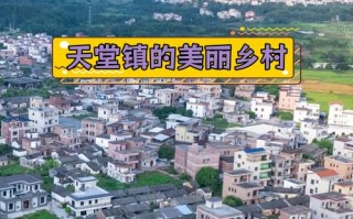 云浮新兴天堂镇圆通有何特别？