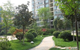 苏宁千秋情缘邮政编码