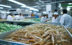 草虾养殖白班病防治，草虾白斑病毒防治