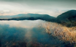 鲟鱼养殖陕西，鲟鱼养殖陕西能养吗