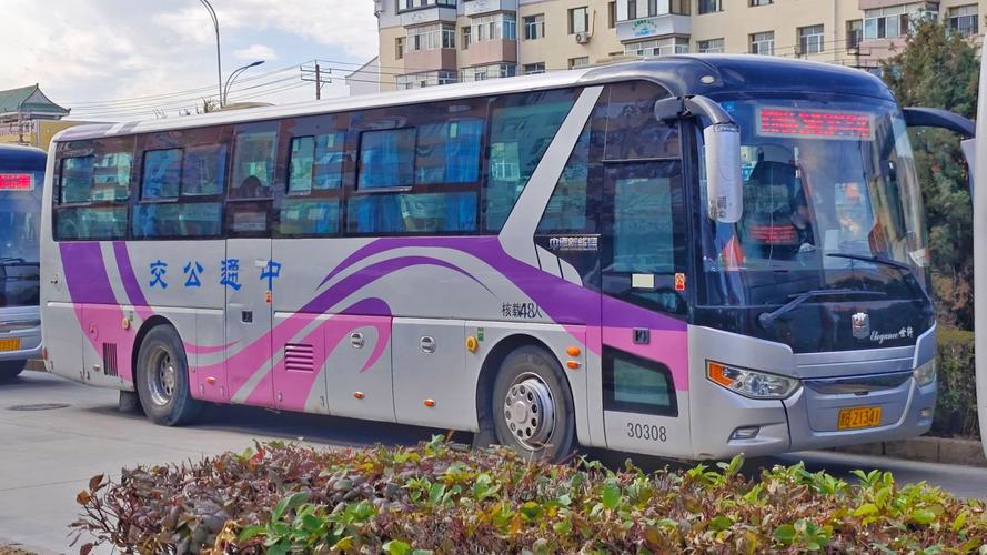 齐齐哈尔中通公交怎么查？-第1张图片-陕西物流货运