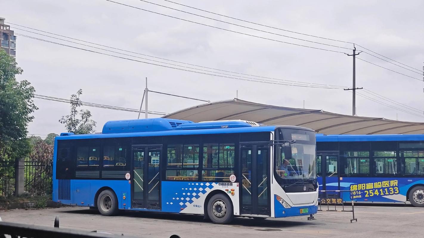 中通沈阳到绵阳时效到底多久？-第3张图片-陕西物流货运