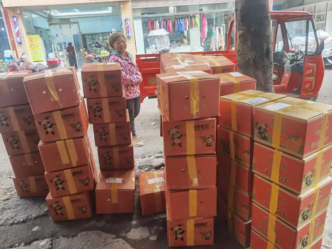 三通快递哪家网点数量最多?-第1张图片-陕西物流货运 三通快递哪家网点数量最多?-第1张图片-陕西物流货运