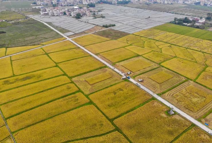 云浮新兴天堂镇圆通有何特别？-第3张图片-陕西物流货运