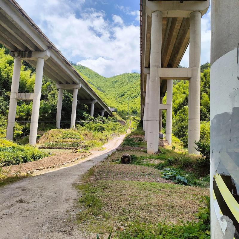 颍上县黄桥镇中通怎么了？-第3张图片-陕西物流货运