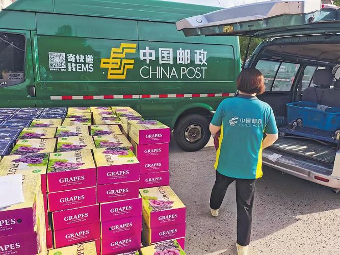 邮政销售业务如何助力邮政企业发展?-第1张图片-陕西物流货运 邮政销售业务如何助力邮政企业发展?-第1张图片-陕西物流货运