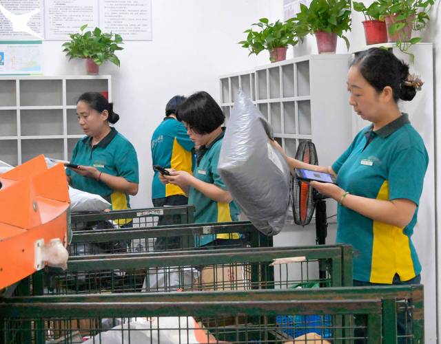 邮政快递和包裹有何区别？-第3张图片-陕西物流货运