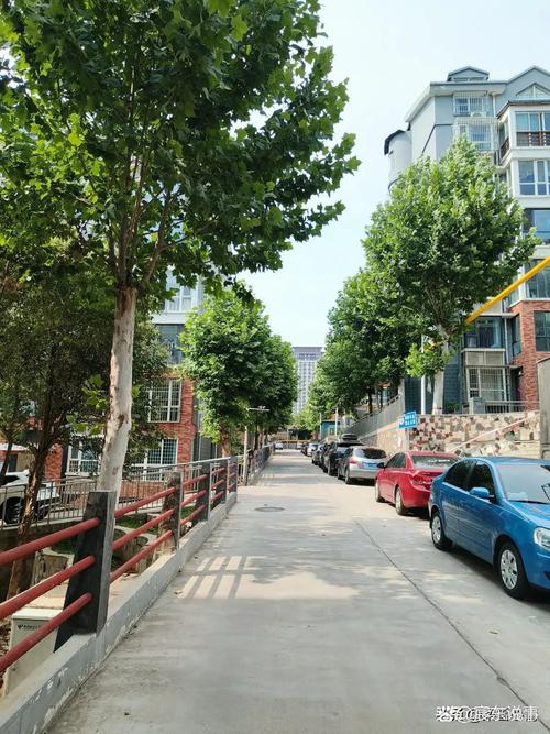 中通龙亭区西郊乡有何动态或问题？-第2张图片-陕西物流货运