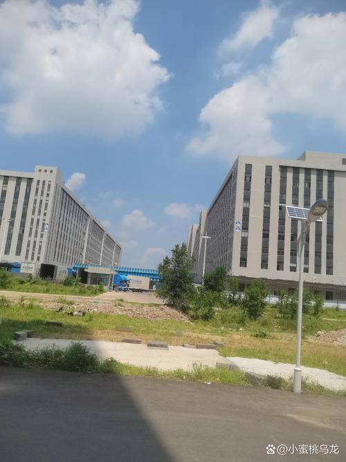 乌鲁木齐中通快运总部有何动向？-第2张图片-陕西物流货运