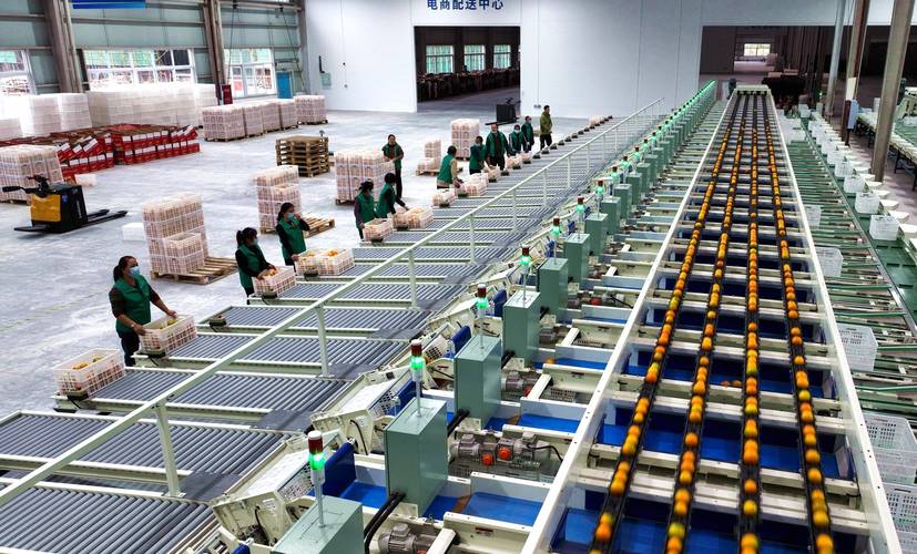 仁寿邮政速递物流分公司有何服务优势？-第3张图片-陕西物流货运