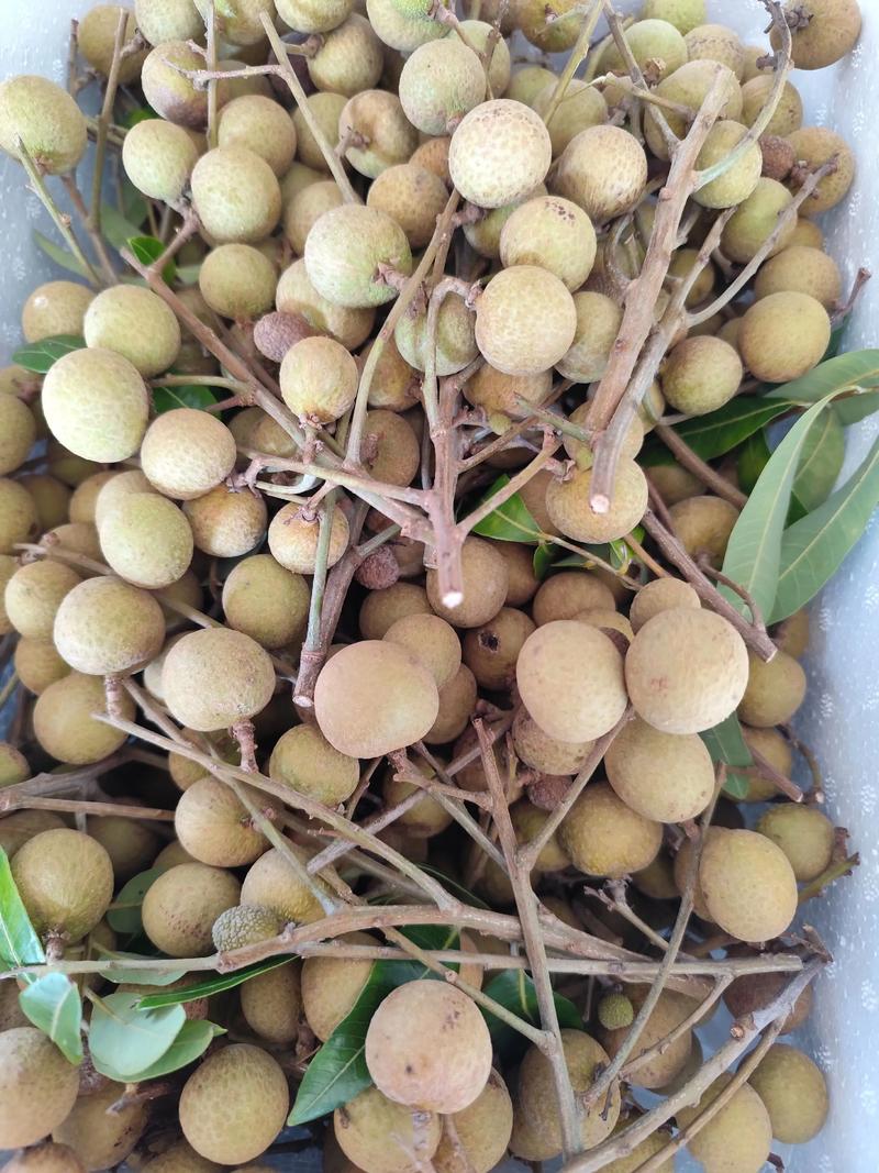 顺丰快递荔枝，如何保鲜又快速？-第2张图片-陕西物流货运