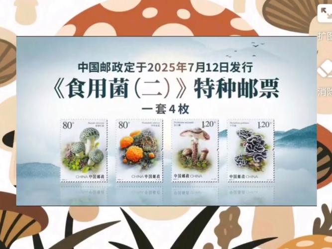 2025年邮票价格会涨还是跌?-第3张图片-陕西物流货运 2025年邮票价格会涨还是跌?-第3张图片-陕西物流货运