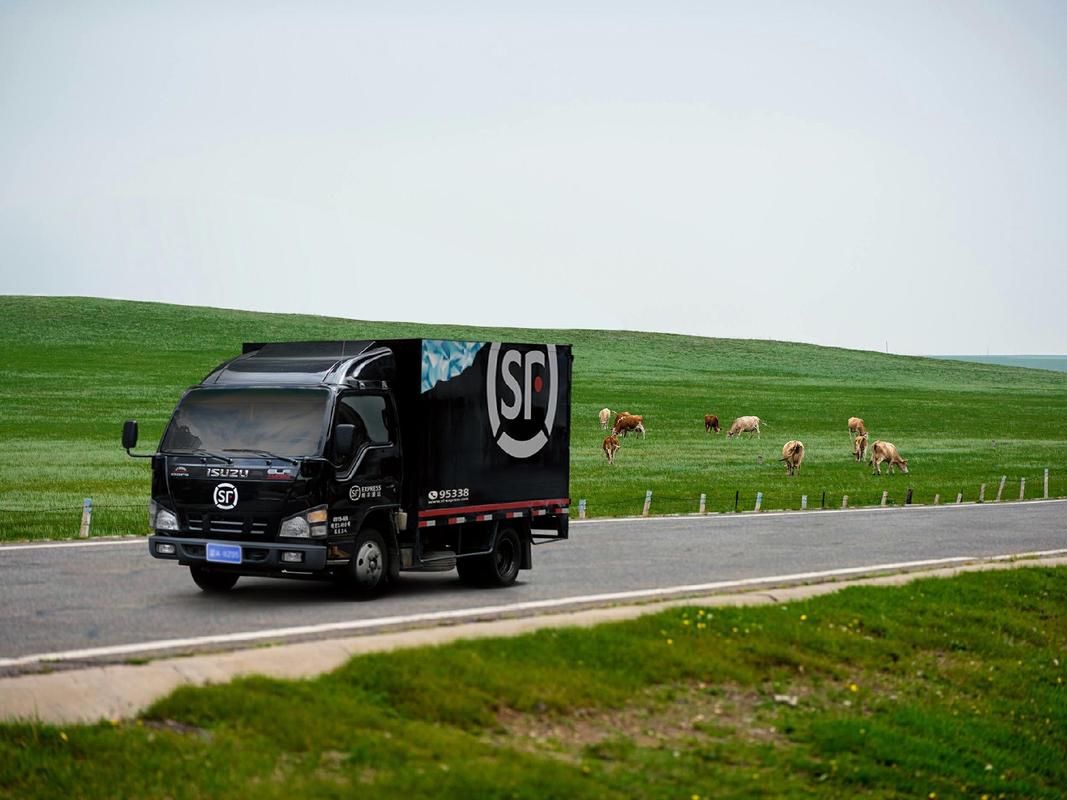 游仙区顺丰95338是什么服务热线？-第2张图片-陕西物流货运