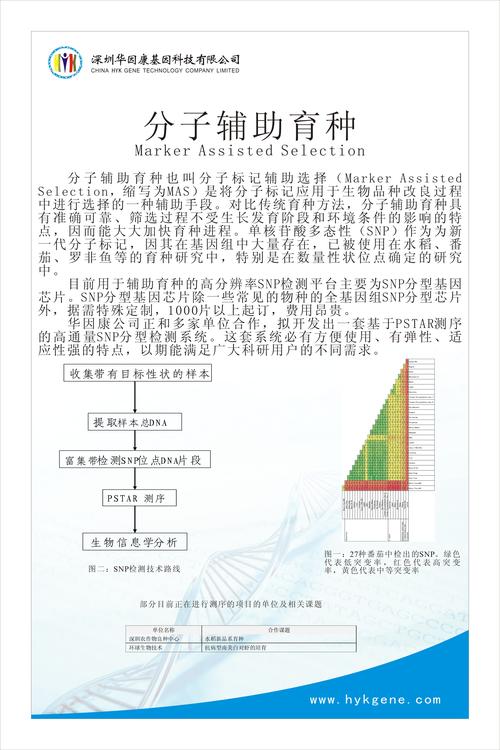 邮政编号518057-第3张图片-陕西物流货运