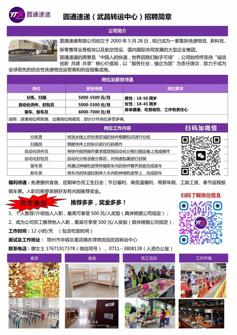 炮台圆通快递现在招什么岗位？-第1张图片-陕西物流货运