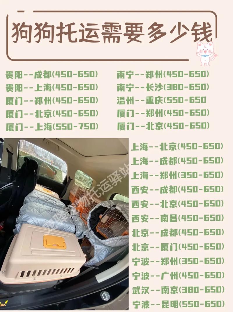 厦门到郑州顺丰快递多久能到？-第3张图片-陕西物流货运