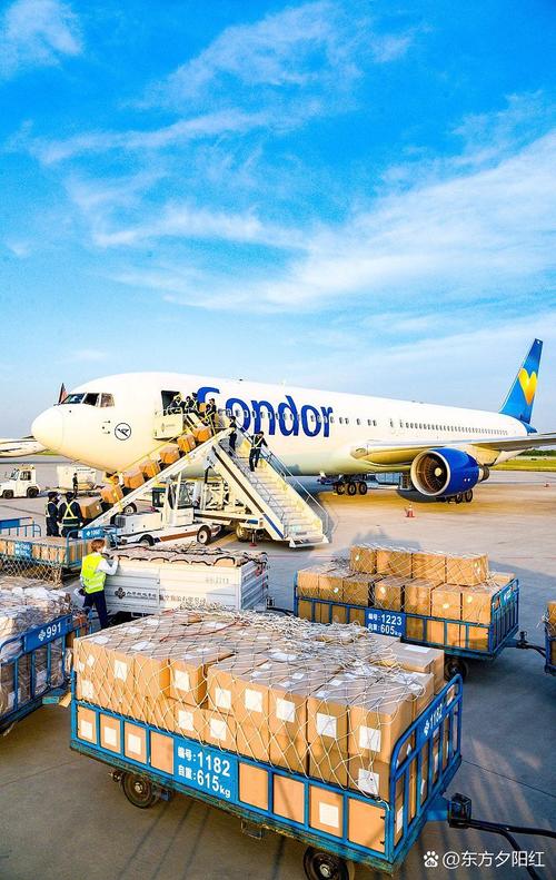 加拿大邮政和美国邮政有何差异？-第3张图片-陕西物流货运