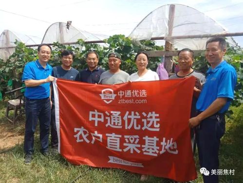 怎么样和中通优选合作-第2张图片-陕西物流货运