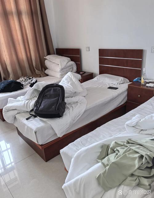 石岭镇邮政局附近哪里能住宿？-第3张图片-陕西物流货运