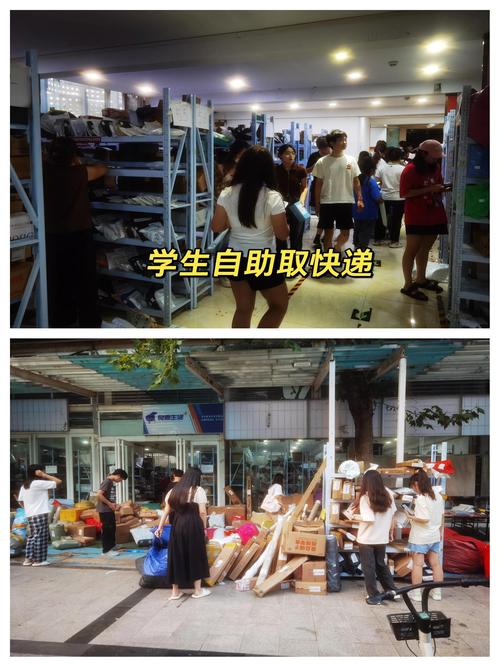 申通、中通、韵达快递哪家更划算?-第1张图片-陕西物流货运 申通、中通、韵达快递哪家更划算?-第1张图片-陕西物流货运