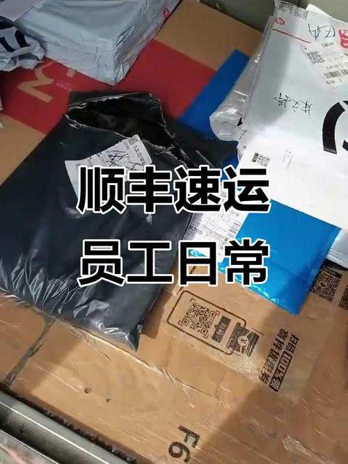 龙江大庆顺丰快递地址电话多少？-第2张图片-陕西物流货运