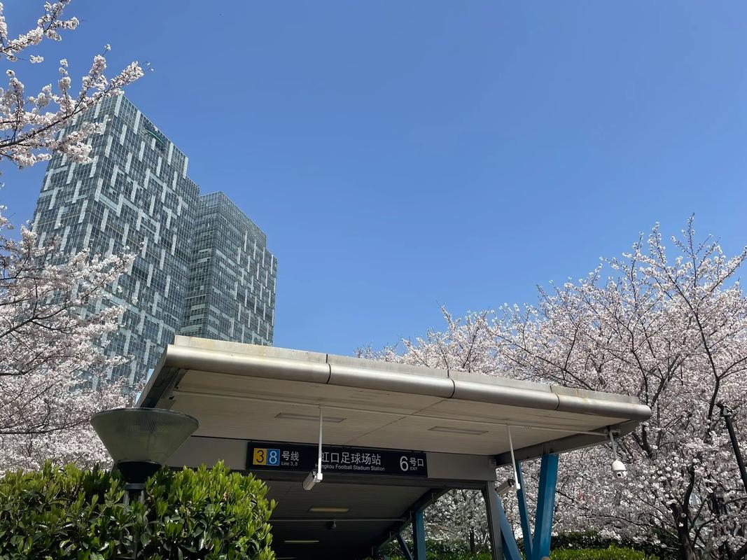 圆通虹口足球场公司具体位置在哪里？-第3张图片-陕西物流货运