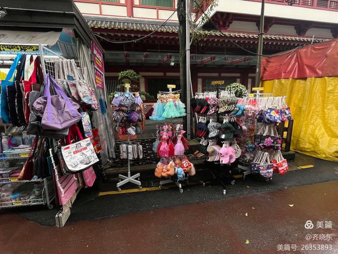 新加坡顺丰快递牛车水服务怎么样？-第1张图片-陕西物流货运