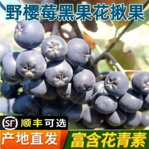 圆通大连高新园区电话是多少？-第2张图片-陕西物流货运