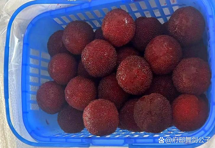 仙居杨梅顺丰快递电话是多少？-第3张图片-陕西物流货运